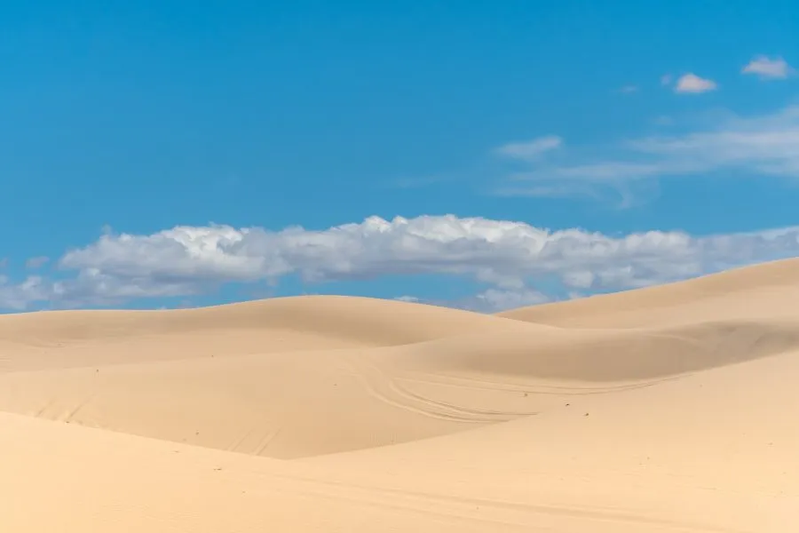 Noches en el desierto de Chihuahua bajo un cielo infinito