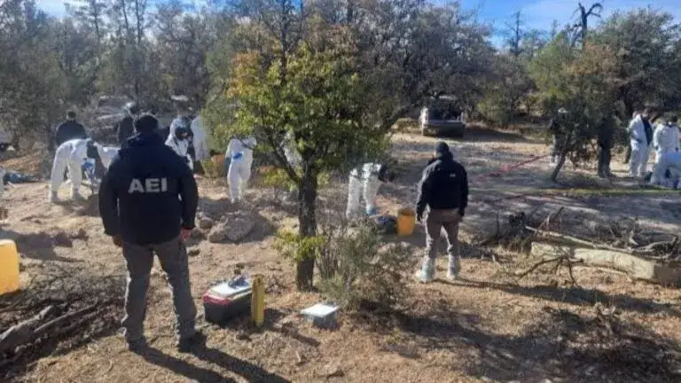 Operativo de la Fiscalía de Chihuahua para buscar personas desaparecidas y restos humanos en el predio El Willy